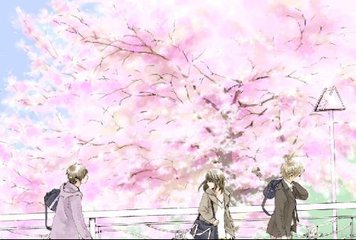 今日看料 美好生活 从今日开始